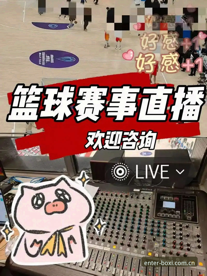 揭秘博喜体育高清直播评测：v2.0.5版本背后的技术真相与用户体验深度解析