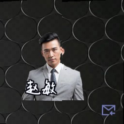 赵敏